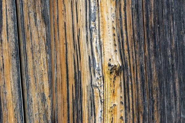 Old wooden door with aged metal door handle. Architectural textured background