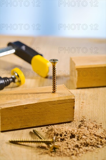 Wooden plank with screw