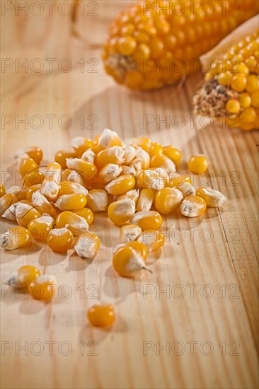 Corn and ears of corn on a wooden table