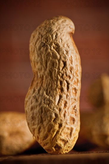 Peanut macro on blurred background