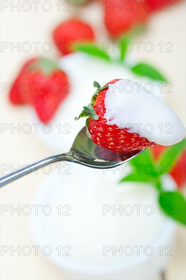 Organic Greek yogurt and strawberry over white rustic wood table