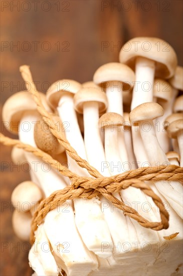 Bunch of fresh wild mushrooms on a rustic wood table tied with a rope