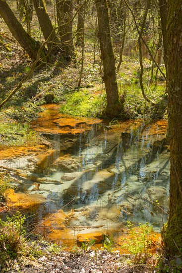 Spring and stream of the Schwindebach or Schwindebeck