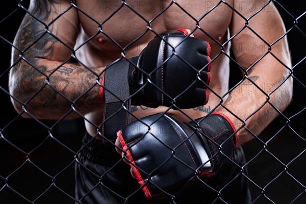 Professional kickboxing fighter puts on gloves in a cage ring. The concept of sports