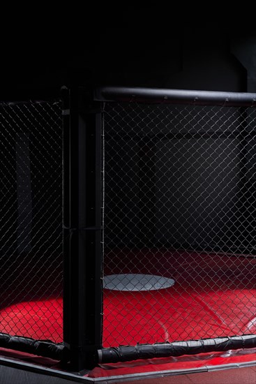 Image of an octagon. Concept of boxing