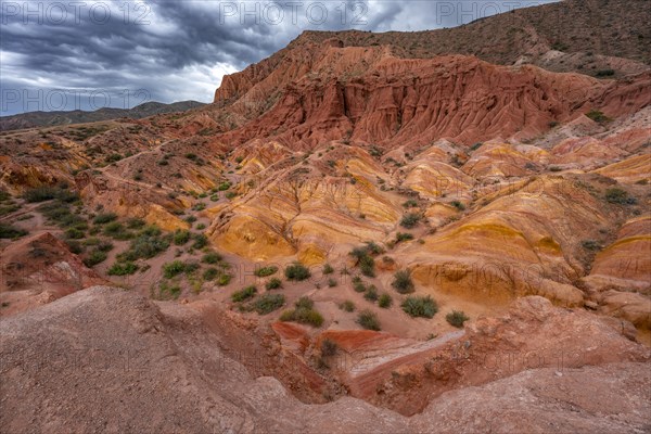Canyon of eroded sandstone formations