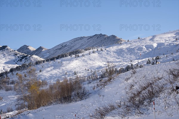 Natural landscape in the autumn with snow-capped mountains in the Cerdanya area in the province of Gerona in Catalonia in Spain