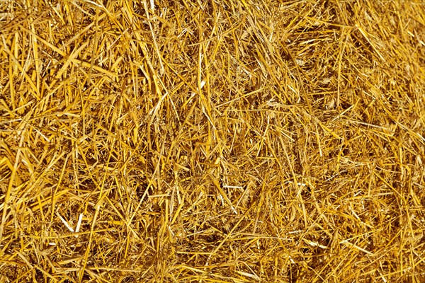 Texture of the straw