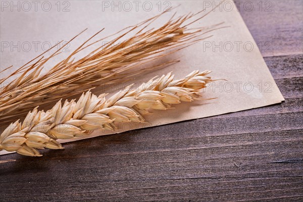 Ears of wheat and rye on vintage paper old wooden board food and drink concept
