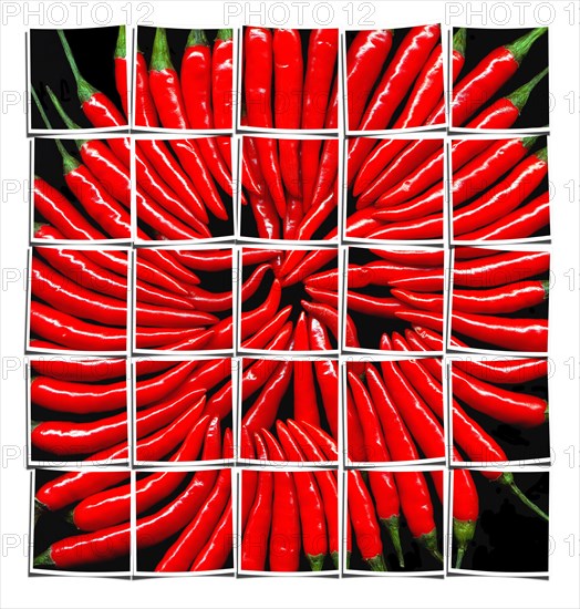 Red chili peppers on black background collage composition of multiple images over white