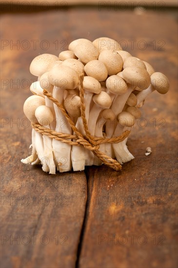 Bunch of fresh wild mushrooms on a rustic wood table tied with a rope