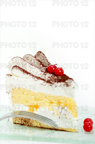 Fresh ribes and whipped cream dessert cake slice with cocoa powder on top