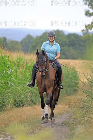 Rider with warmblood on a country lane