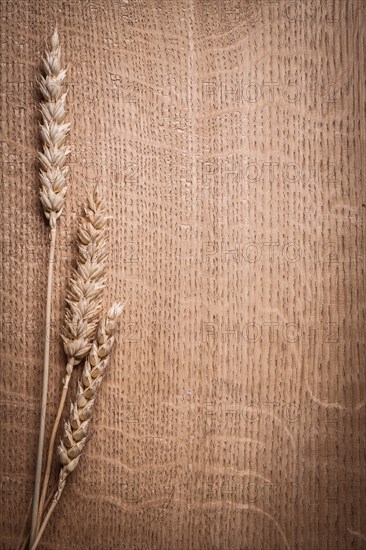 Copyspace image Ears of ripe wheat on wooden board close-up