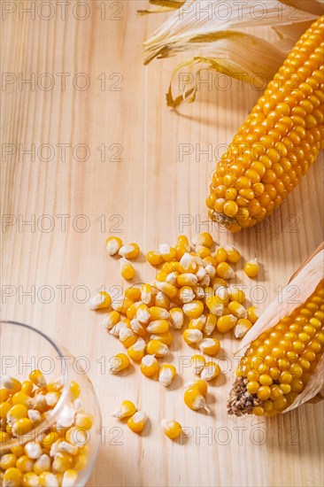 Ear of corn on the table