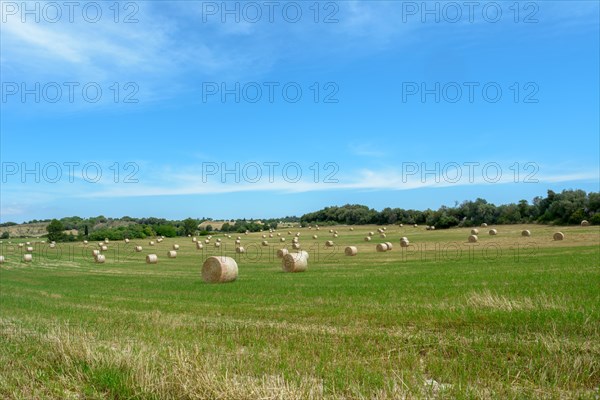 Stacks of straw