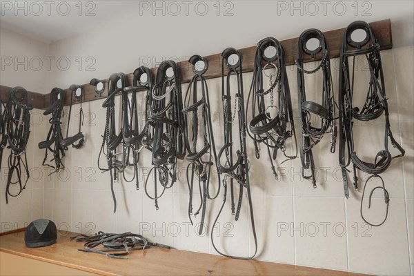 Harnesses for horses