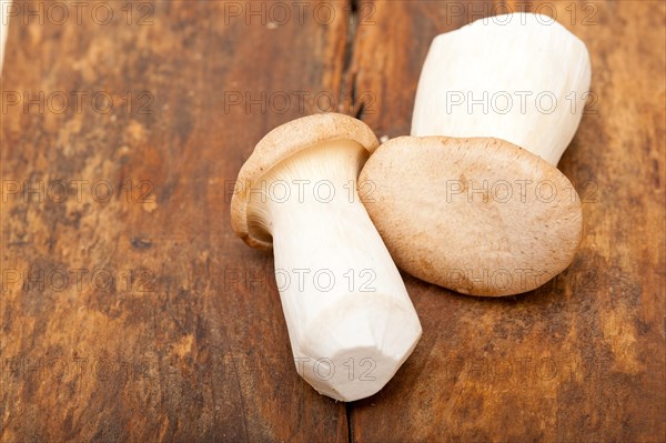 Bunch of fresh wild mushrooms on a rustic wood table