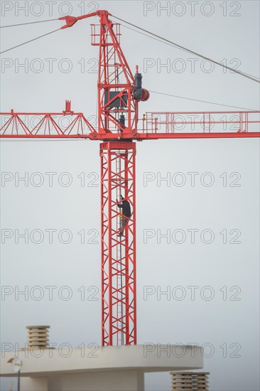 Professional crane operator inspecting the crane at high altitude