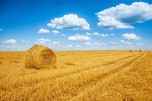 Straw bales on a harvested field and blue sky