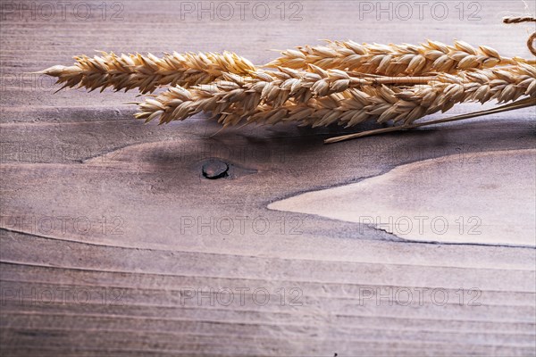 Small bundle of wheat ears on vintage wooden board with space for your text food and drink concept