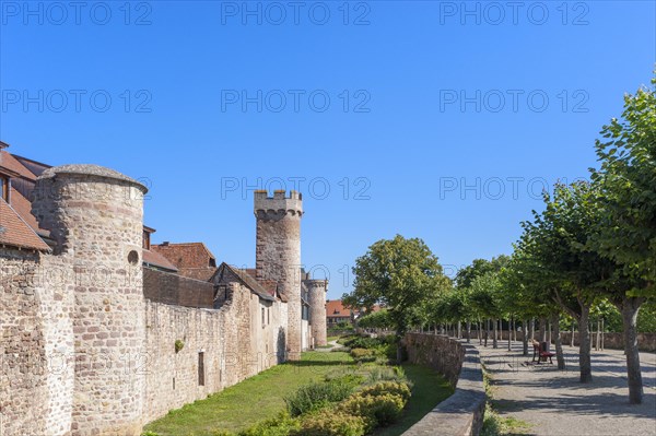 Historic city wall