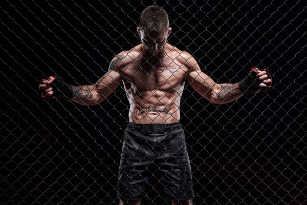 Dramatic image of a mixed martial arts fighter standing in an octagon cage. The concept of sports