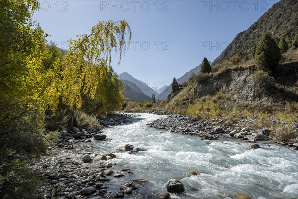 Mountain stream Ala Archa flows through the Ala Archa valley