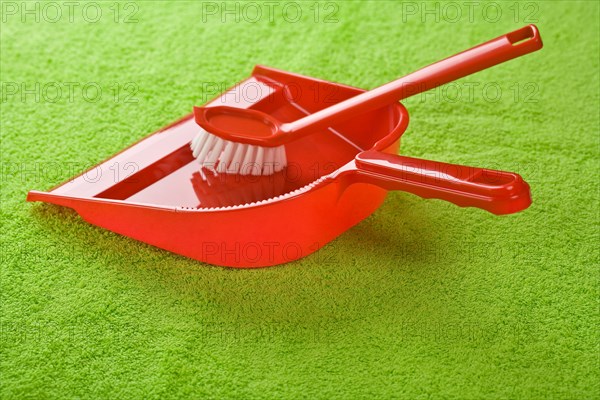 Dustpan with brush