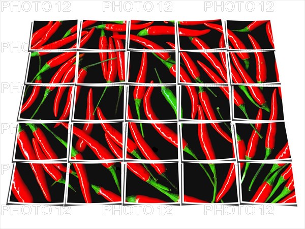 Red chili peppers on black background collage composition of multiple images over white