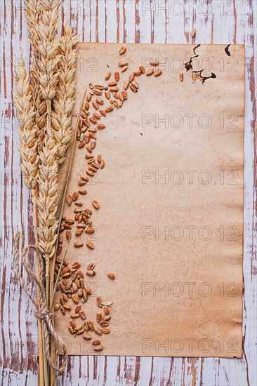 Copyspace background with ears of corn and grains on vintage paper with space for your text