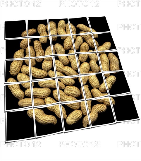Peanuts on black background collage composition of multiple images over white