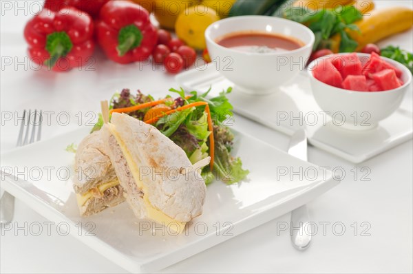 Tuna fish and cheese sandwich with fresh mixed salad