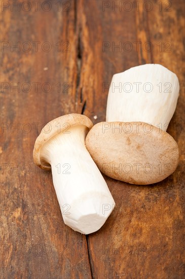 Bunch of fresh wild mushrooms on a rustic wood table