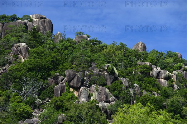 Hill with granite rocks