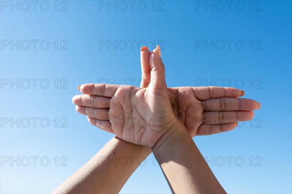 Woman's hands making dove sign with her hands against blue sky