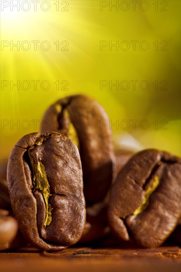 Macro shot of coffee beans on a blurred background