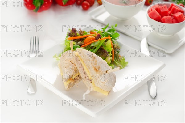 Tuna fish and cheese sandwich with fresh mixed salad