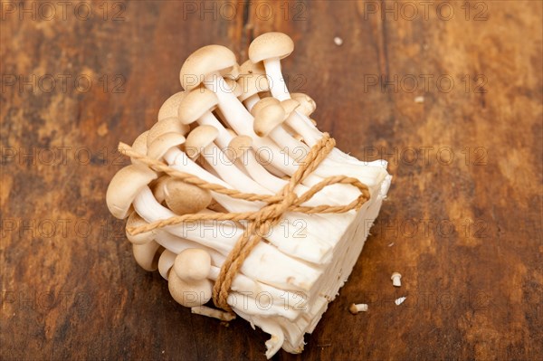 Bunch of fresh wild mushrooms on a rustic wood table tied with a rope