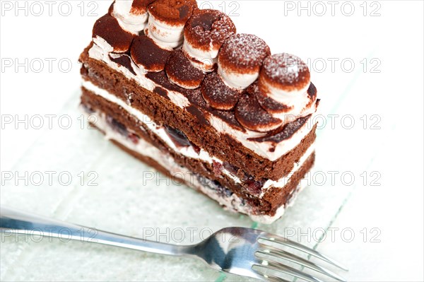 Fresh whipped cream dessert cake slice with cocoa powder on top