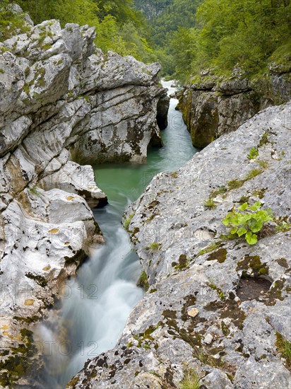 River Soca flows through narrow canyon