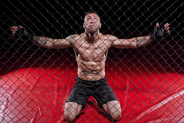 Dramatic image of a mixed martial arts fighter standing in an octagon cage. The concept of sports