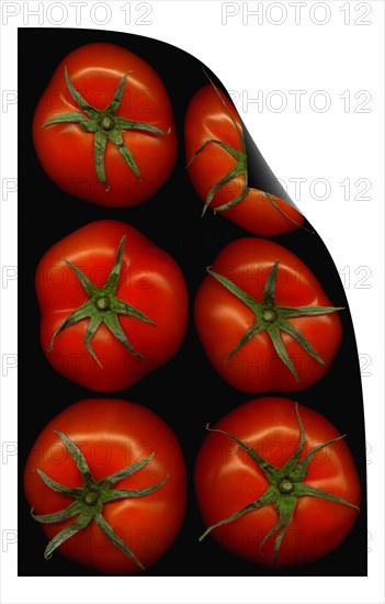 Fresh tomatoes on black background curl distortion effect