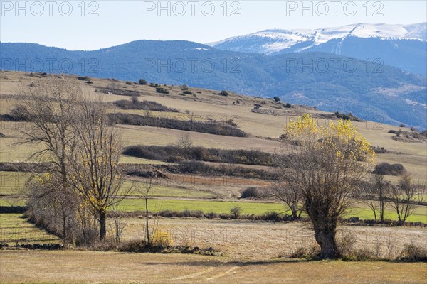 Natural landscape in the autumn with snow-capped mountains in the Cerdanya area in the province of Gerona in Catalonia in Spain