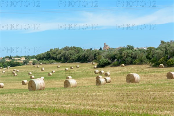 Stacks of straw