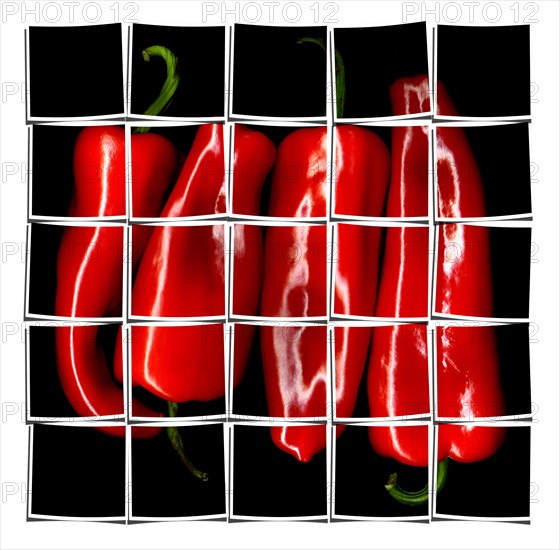 Red paprika or paprica on black background collage composition of multiple images over white