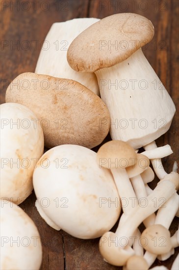 Bunch of fresh wild mushrooms on a rustic wood table