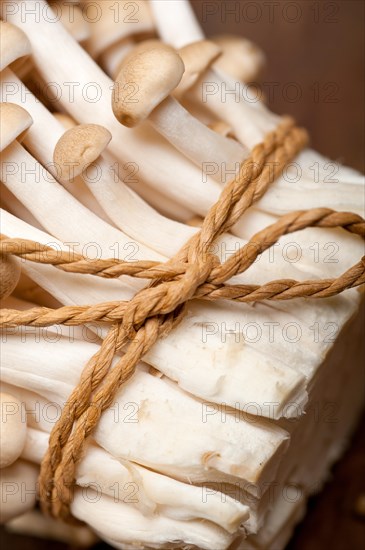 Bunch of fresh wild mushrooms on a rustic wood table tied with a rope