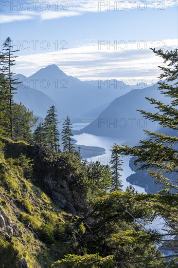 View of the Plansee