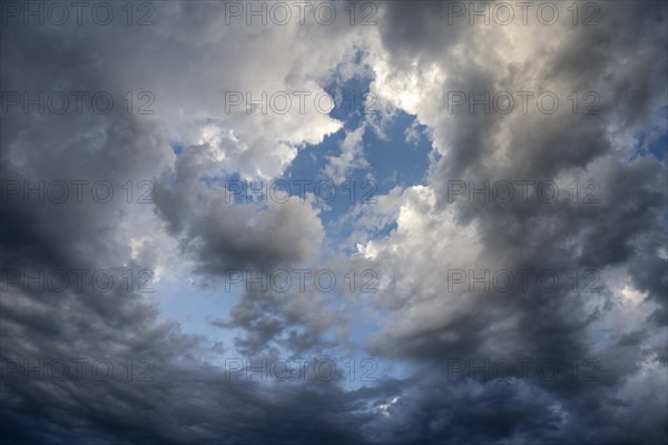 Dramatic cloud formation in front of a summer thunderstorm